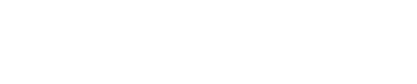Seguridad y Saneamiento Medio Ambiental