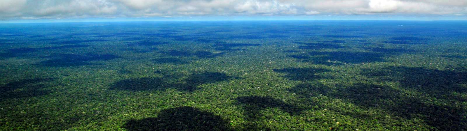 Auditorías de desempeño ambiental